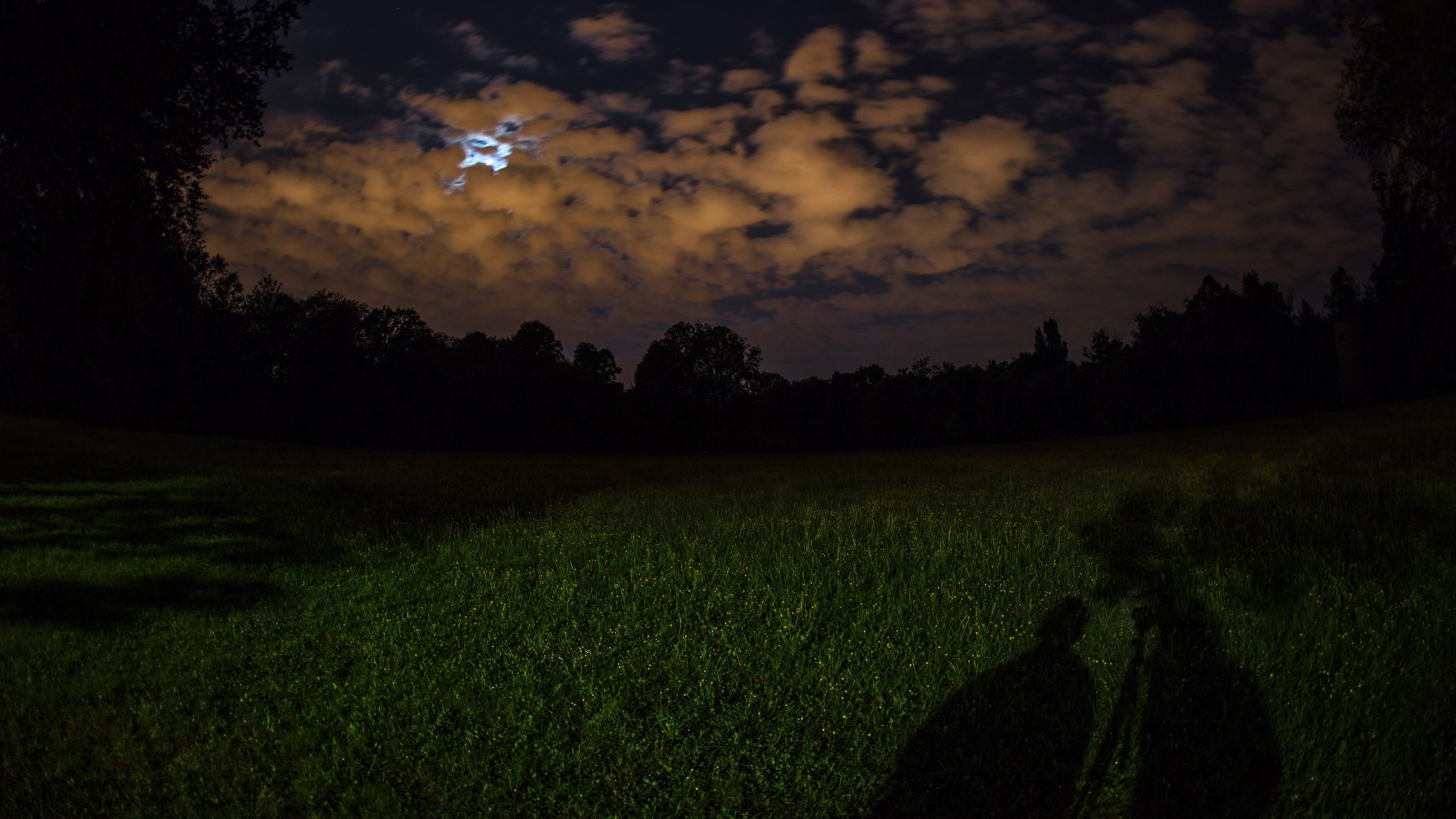 20220508000635 DP017495